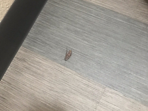 Holiday Inn 移动西 - I - 10 by IHG主图