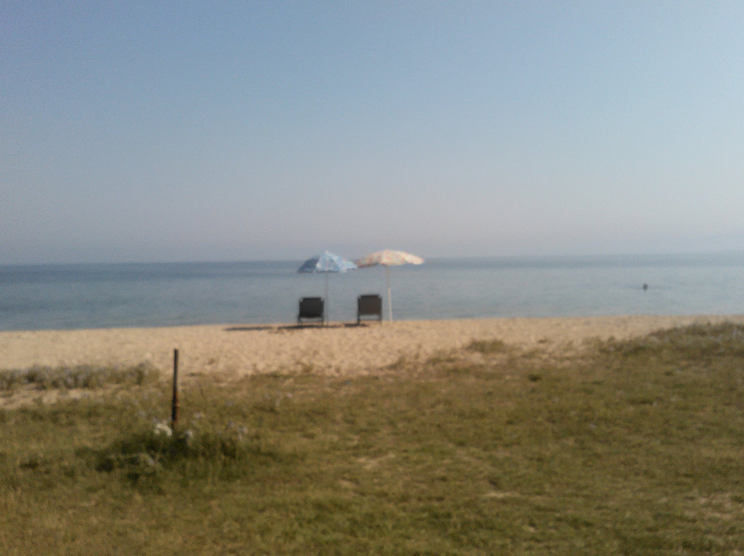 Agia Triada Beach景点图片
