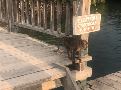Alba Cruise-Labuan Bajo必去景点