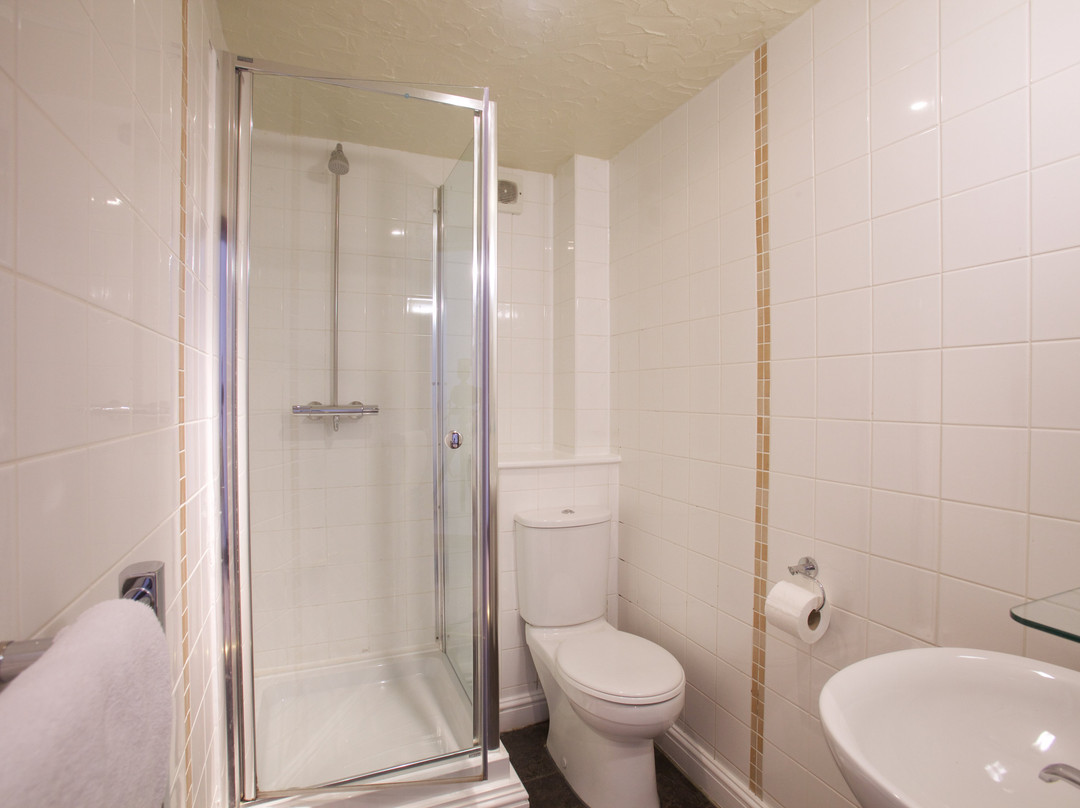 The Waterloo Cross主图