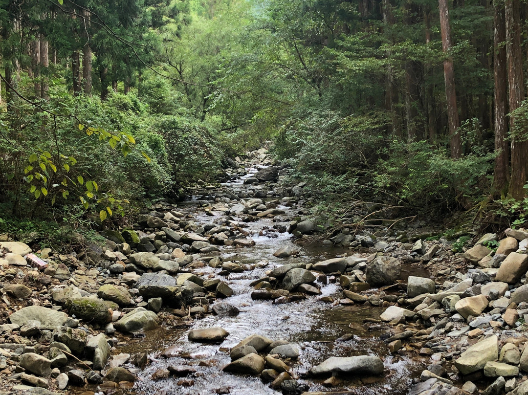 Dorogawa Shizen Kenkyuro景点图片