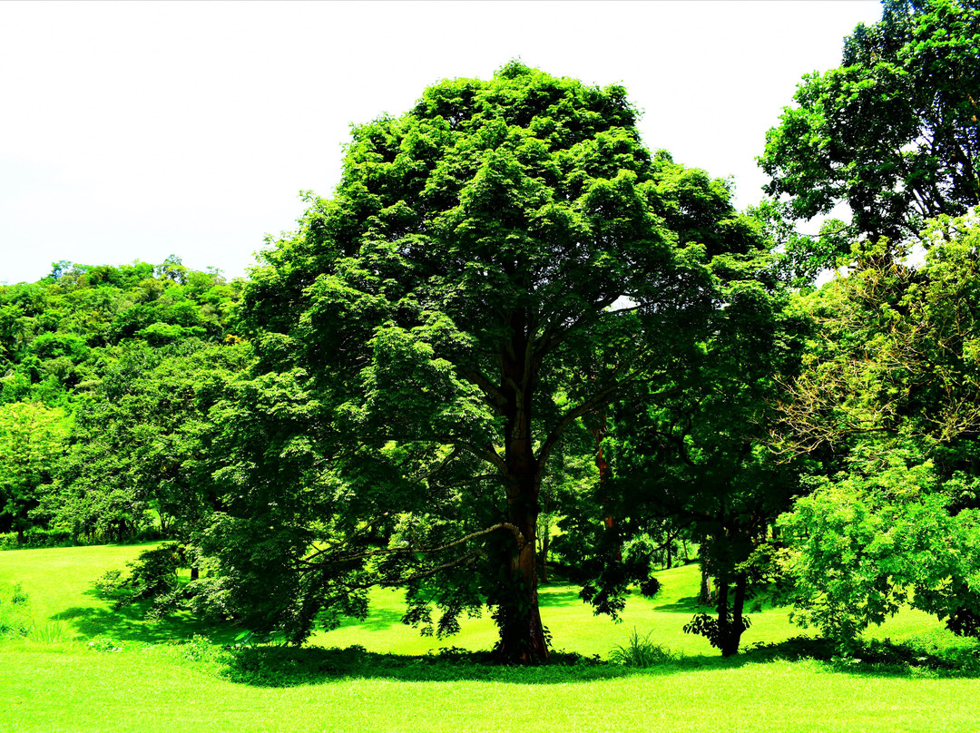 Ortinola Estates-St Joseph必去景点