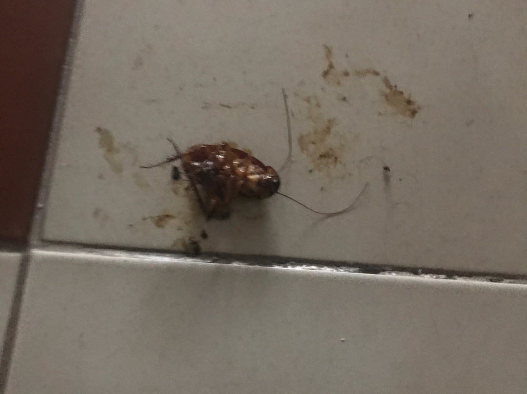 Gran Plaza Hotel & Convention Center主图