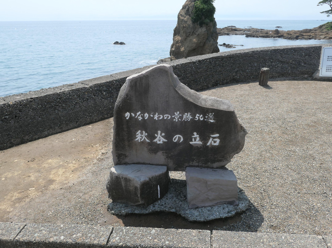 Tateishi Park景点图片