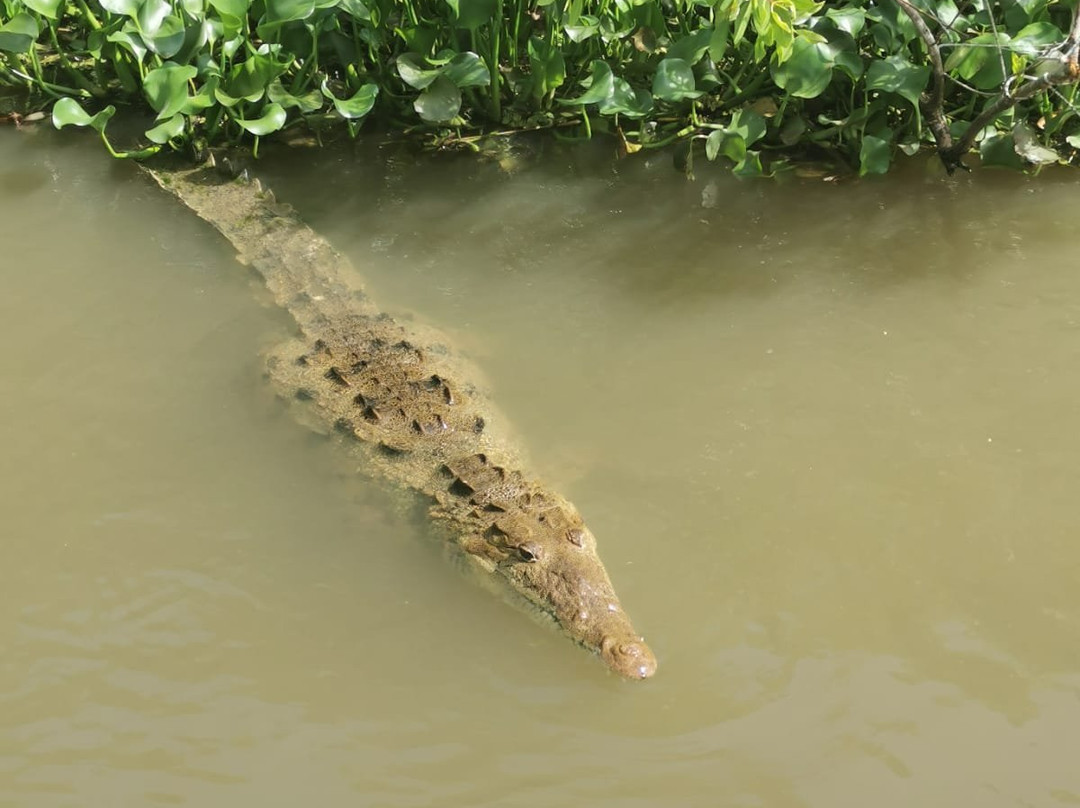 Explore Jamdung Tours-奥乔里奥斯必去景点