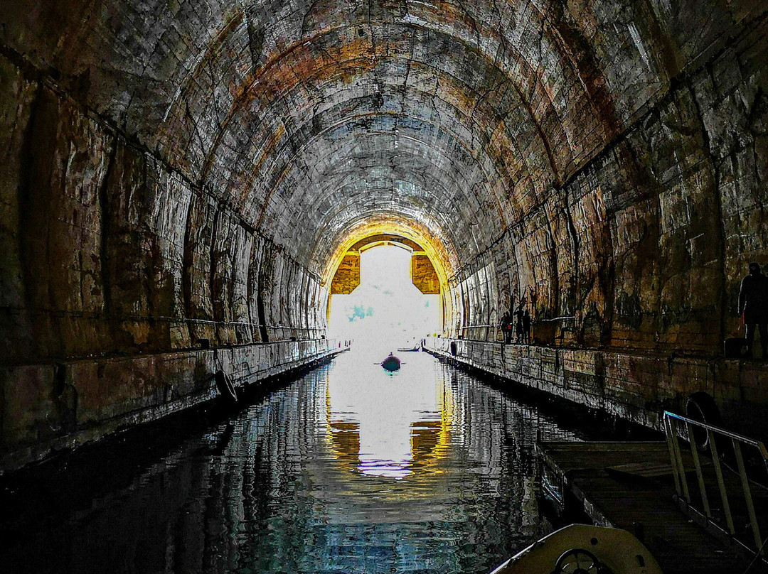 Navigator - Day Tours-维斯必去景点