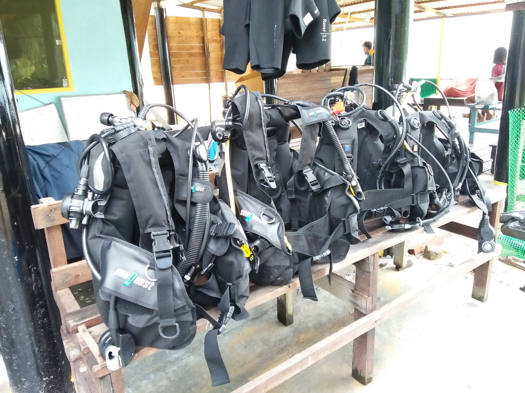 Tiong Man Scuba Dive & Lodge-刁曼岛必去景点