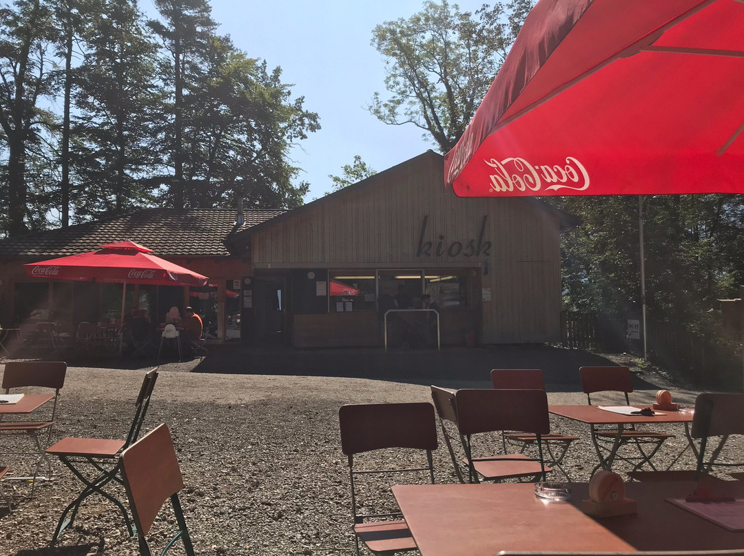 Wildpark Feldkirch-费尔德教堂市必去景点