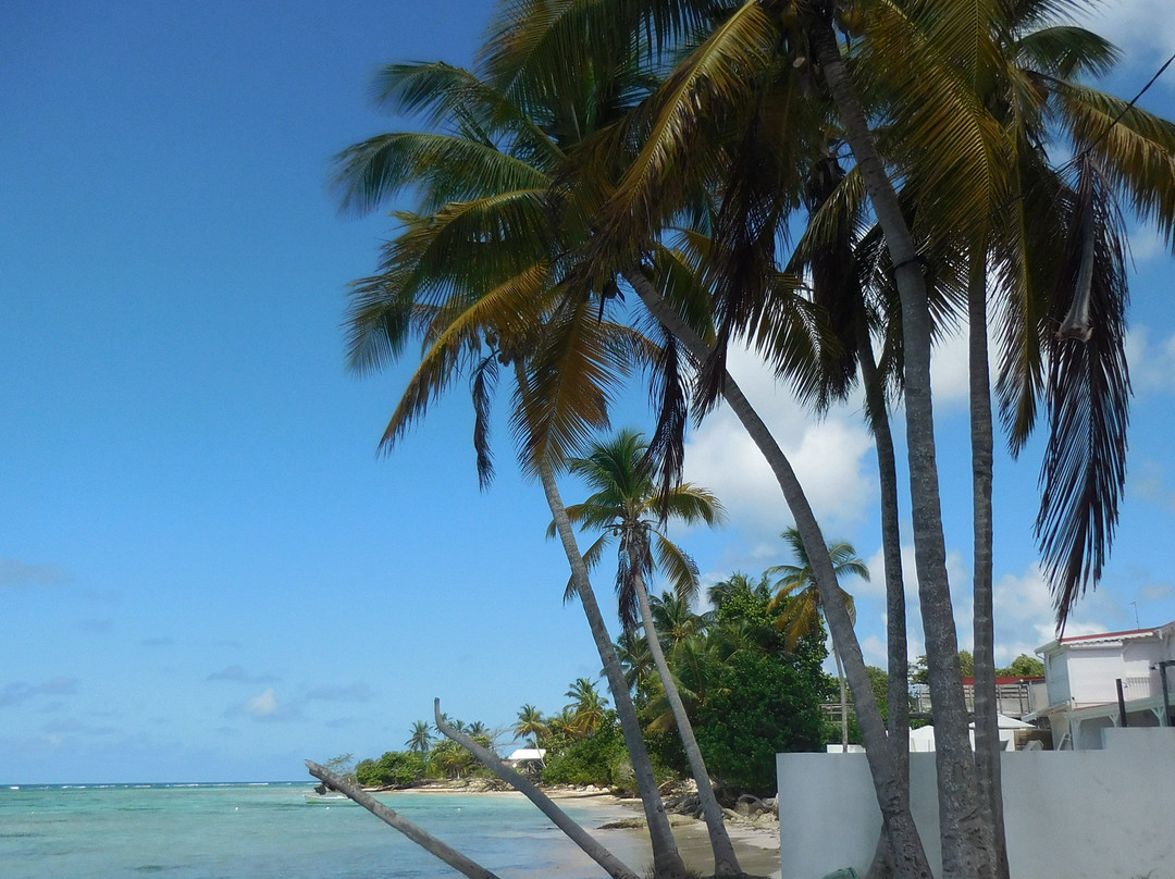 Coco Beach Resort主图