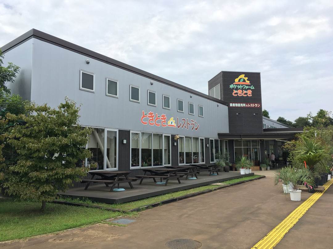 Pocket Farm Dokidoki Tsukuba Ushiku-牛久市必去景点