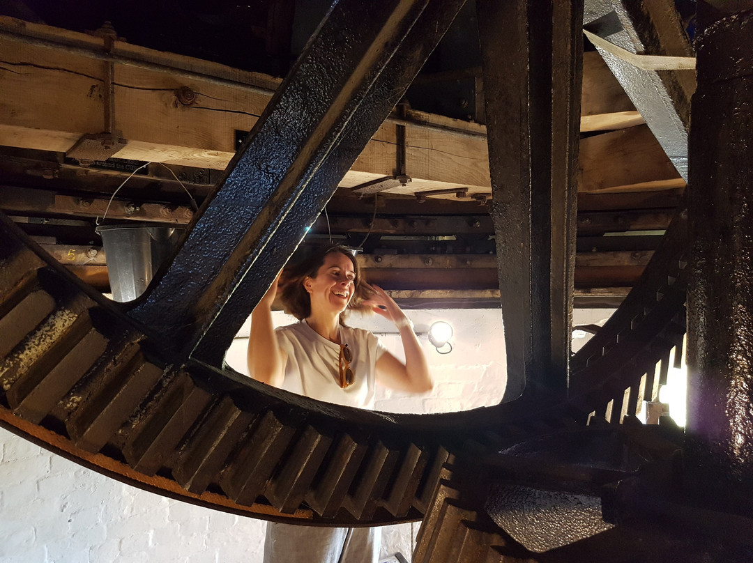 Wilton Windmill景点图片