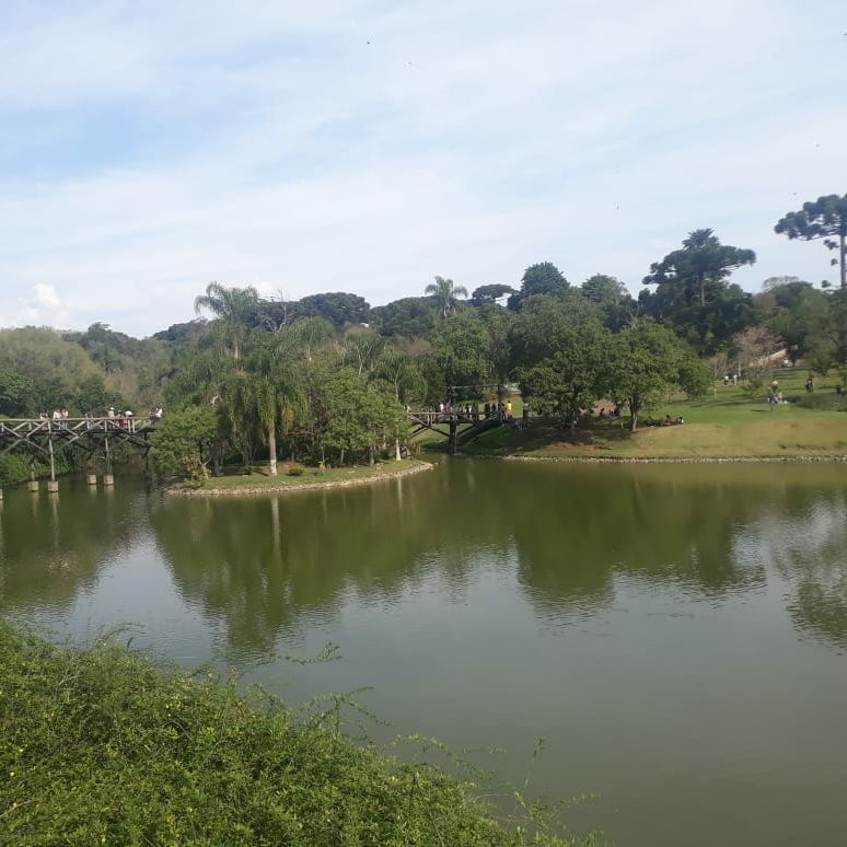 Jardim Botânico de Curitiba景点图片