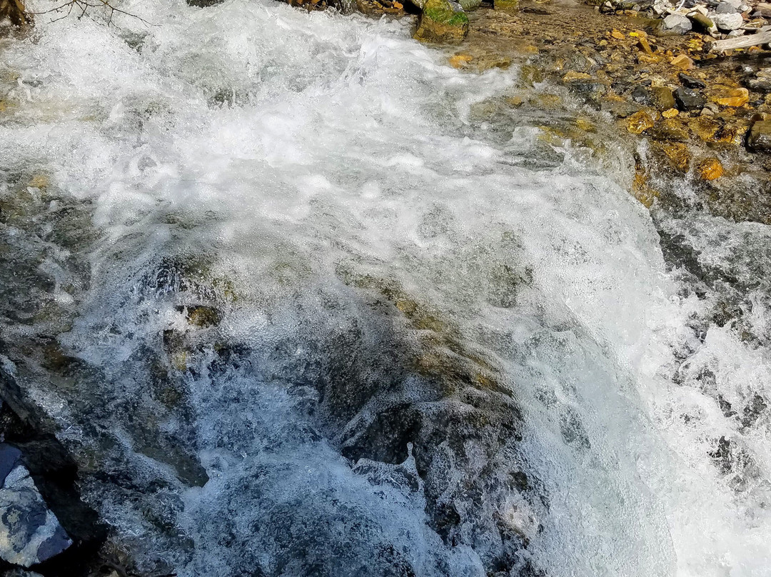 Battle Creek Falls景点图片