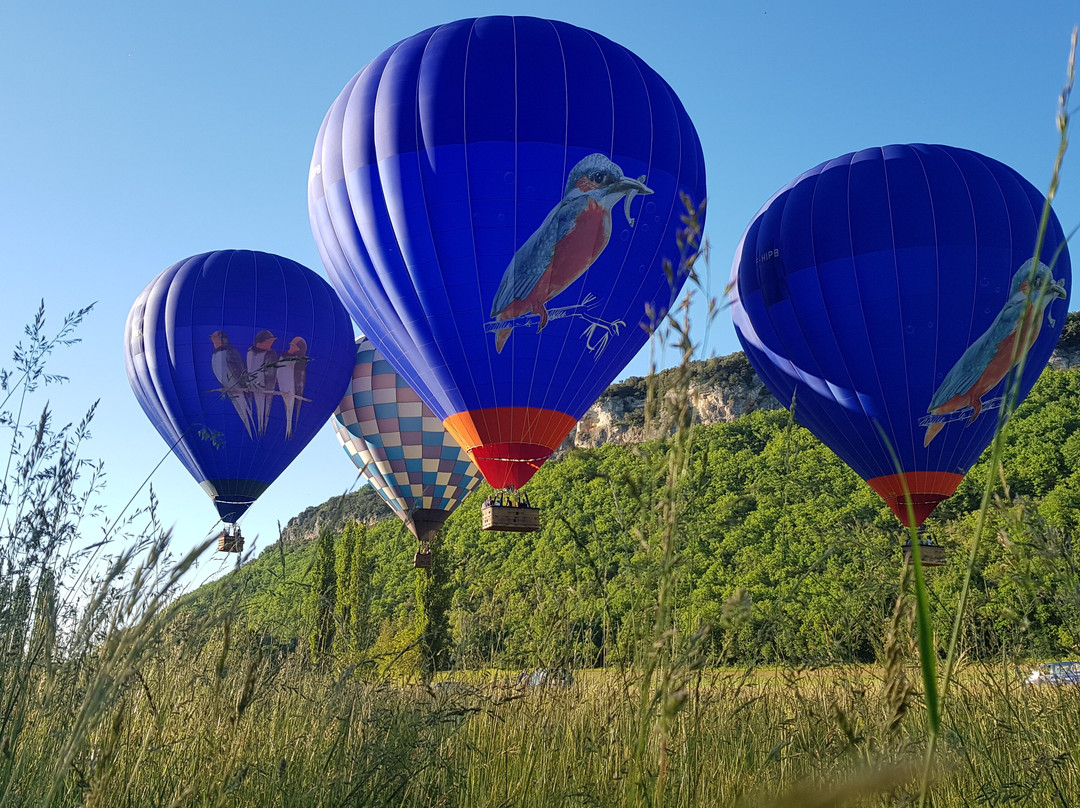 Perigord Dordogne Montgolfieres景点图片