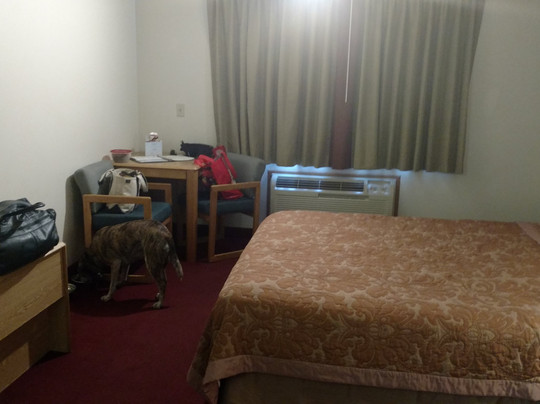 Super 8 by Wyndham Fruita主图