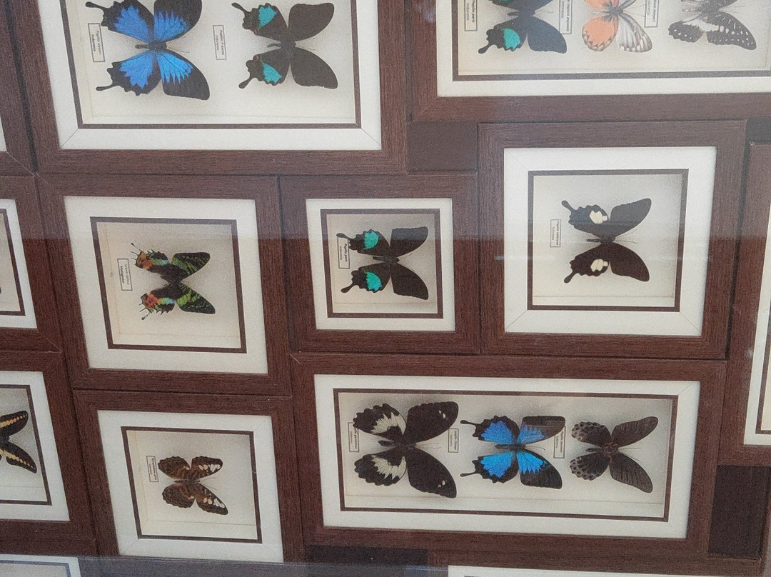 Jiwa Jawa Resort Bromo主图