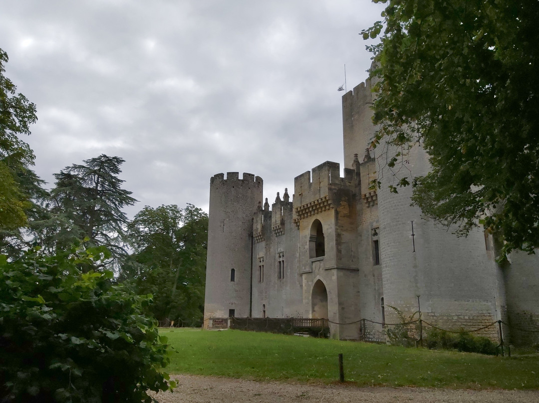 Chateau de Roquetaillade景点图片