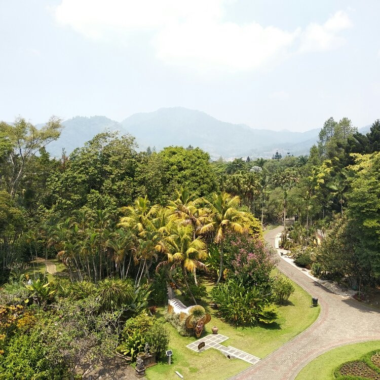 Taman Bunga Nusantara景点图片