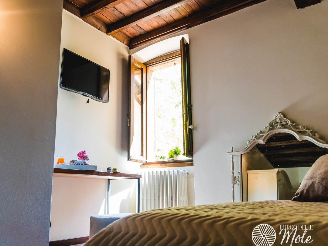 Sant'Angelo In Mercole酒店住宿-Agriturismo Borgo delle Mole