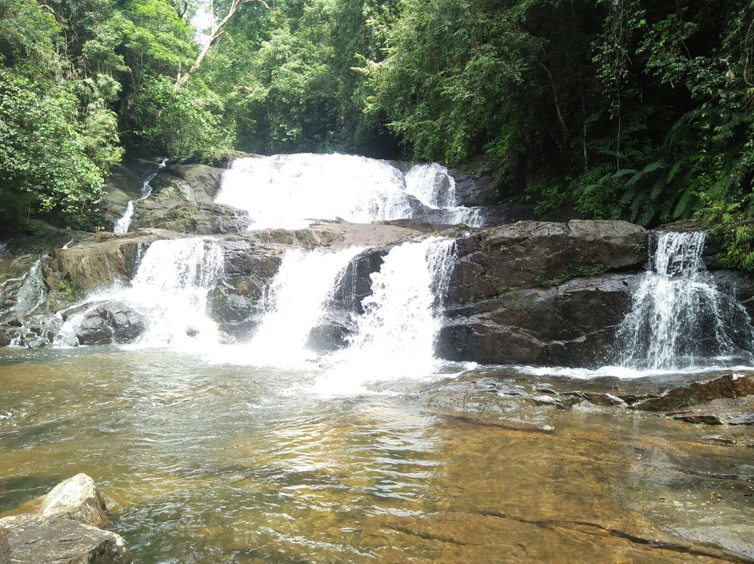 Tropical Rain Forest Sinharaja-Neluwa必去景点