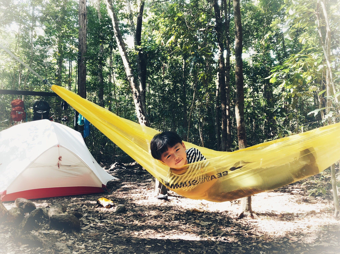 Absolute North Charters-Hinchinbrook Island必去景点
