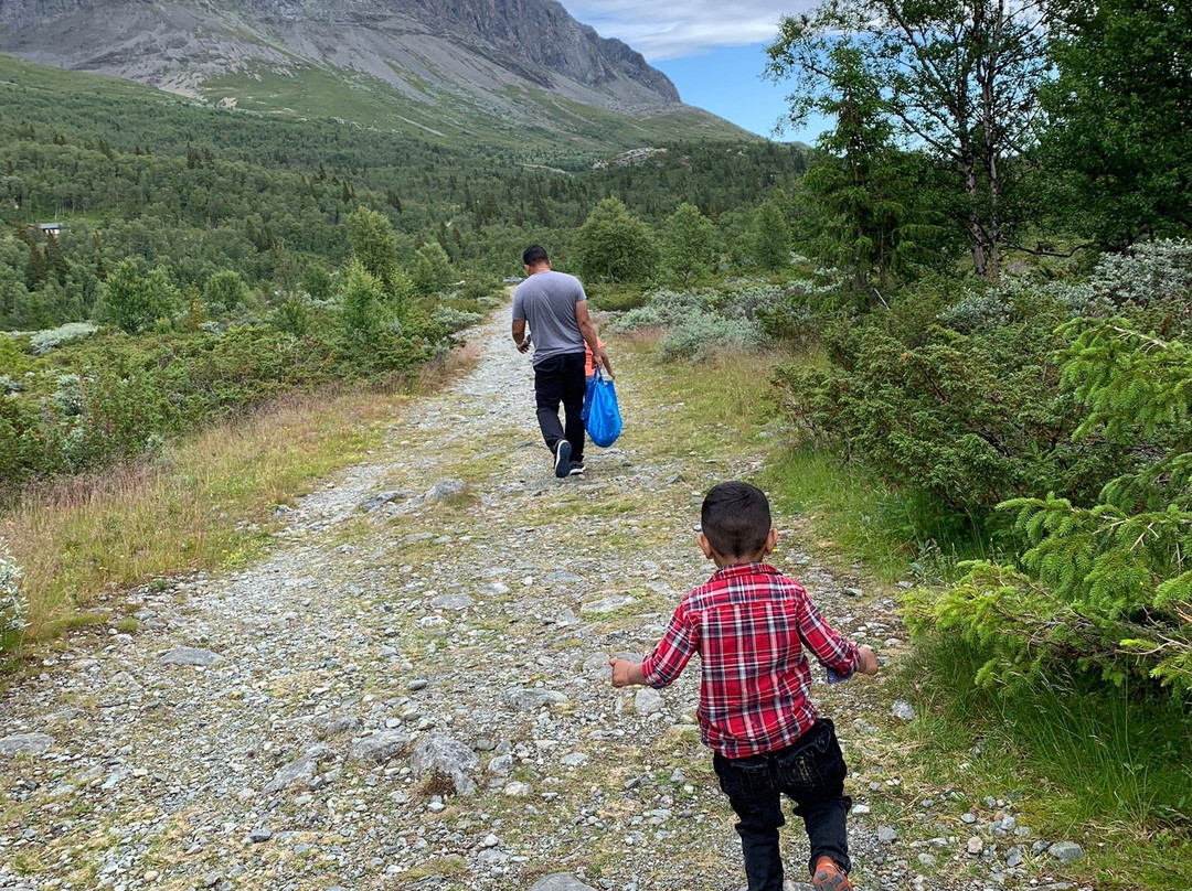 Scandinavian Global Tours-卑尔根必去景点