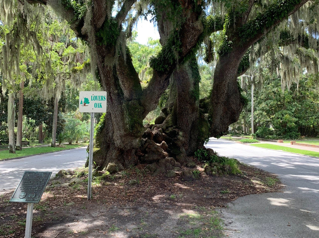 Lover's Oak-不伦瑞克必去景点