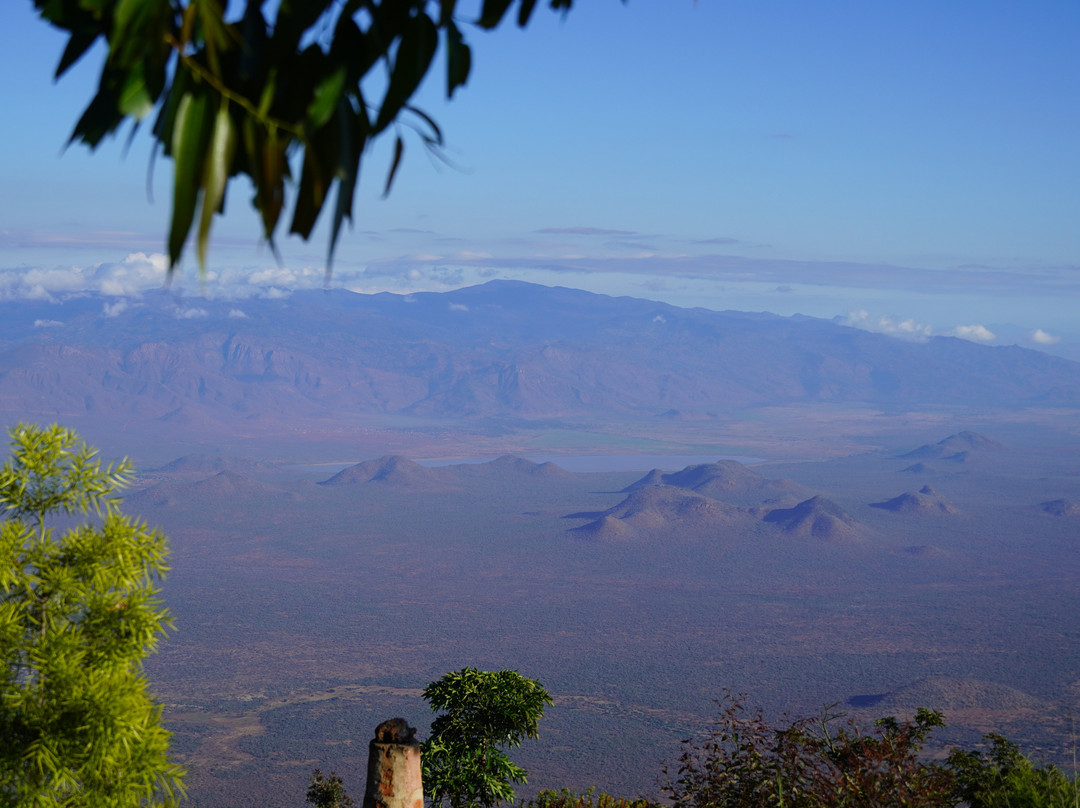 MamboViewPoint主图