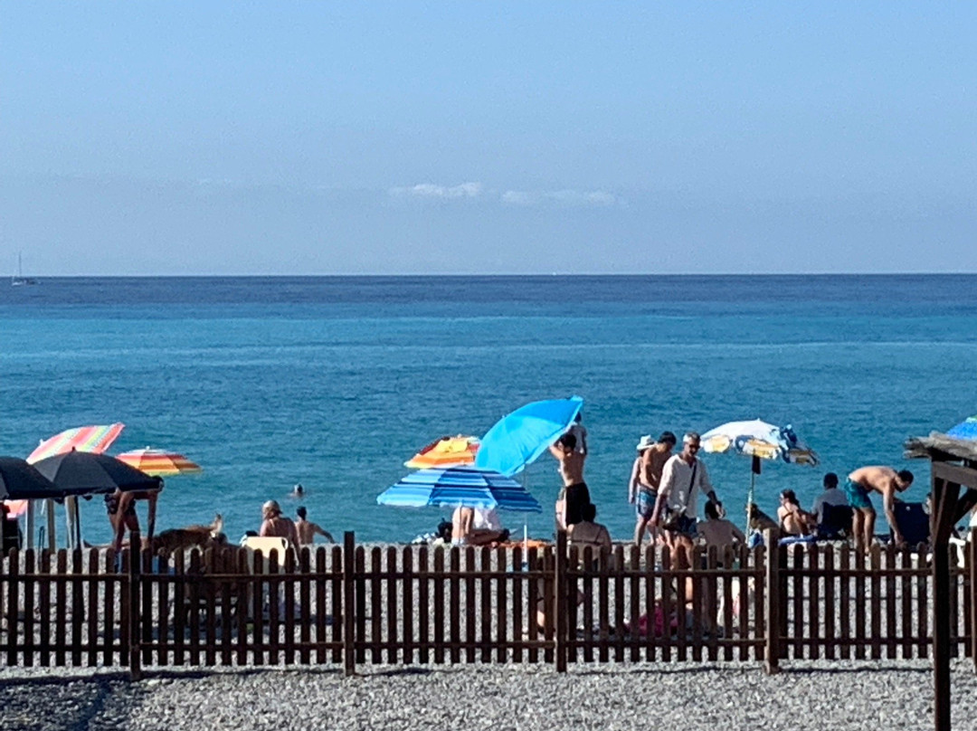 Spiaggia dei Cani景点图片