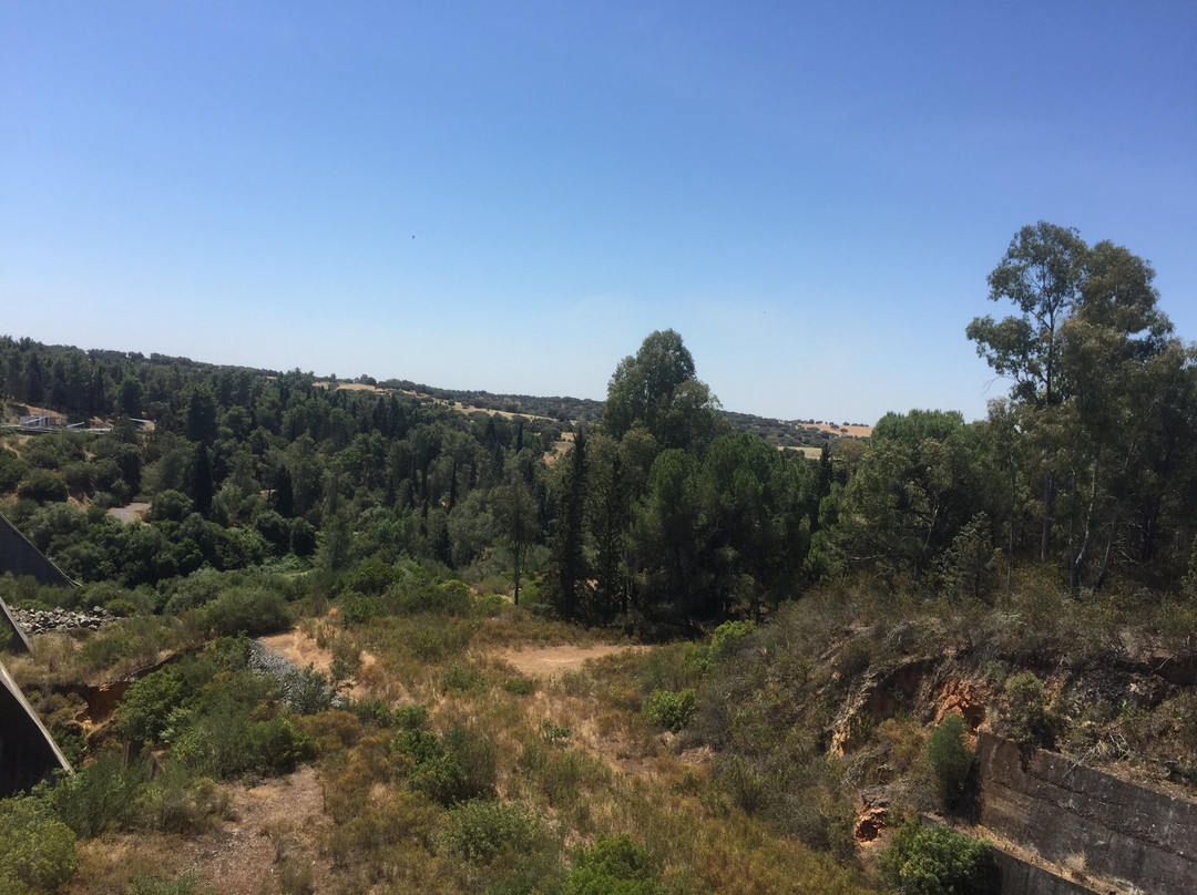 Barragem de Odivelas-Ferreira do Alentejo必去景点
