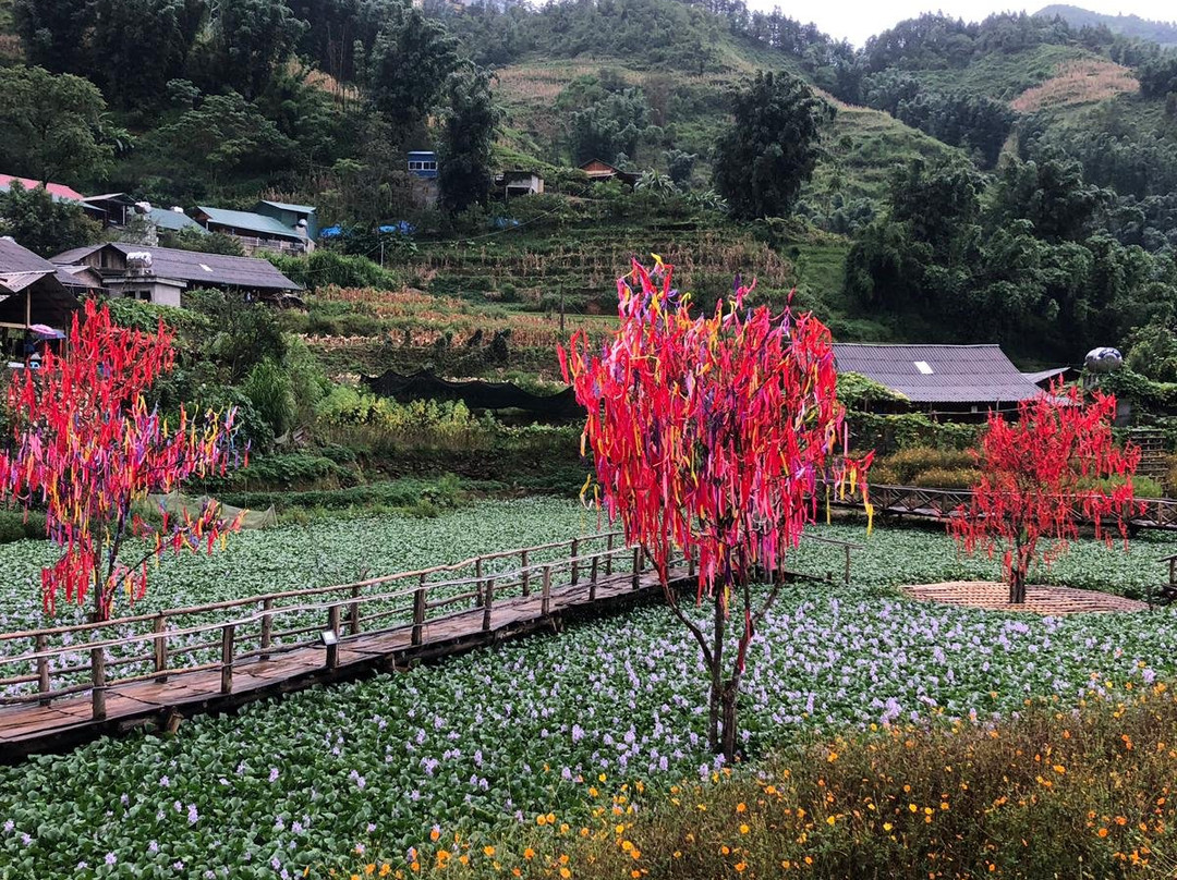 Vei Travel & Events-岘港必去景点