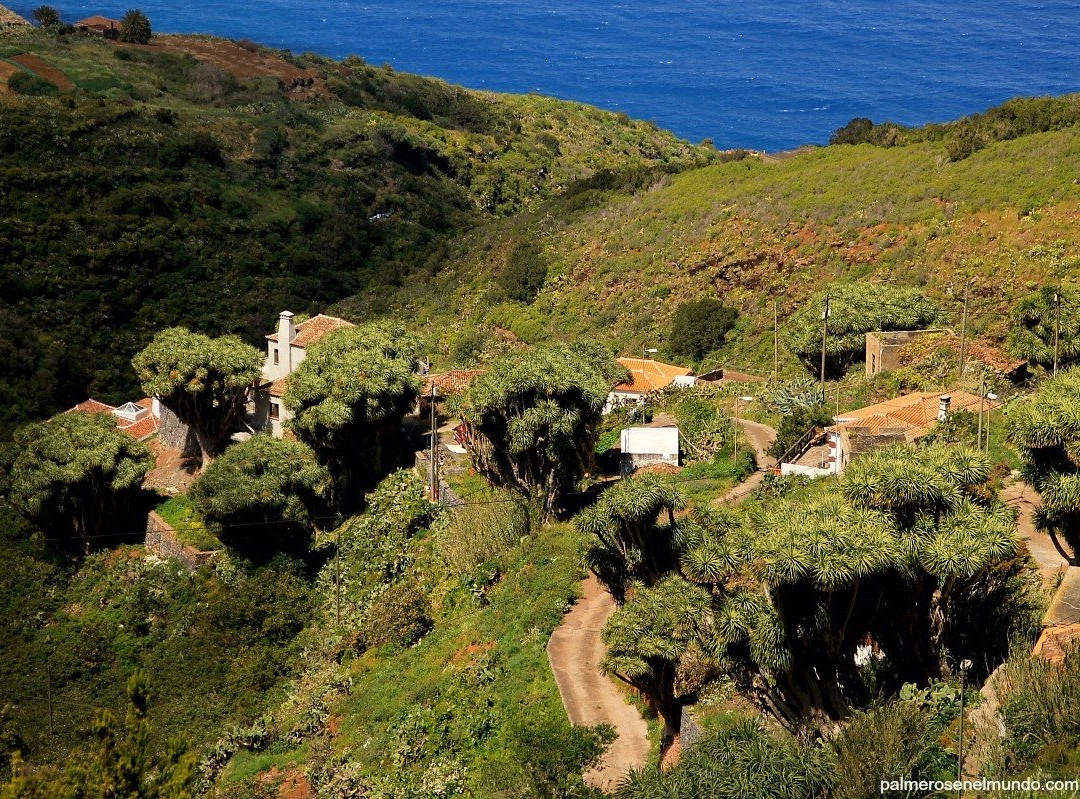 Mirador de La Tosca景点图片
