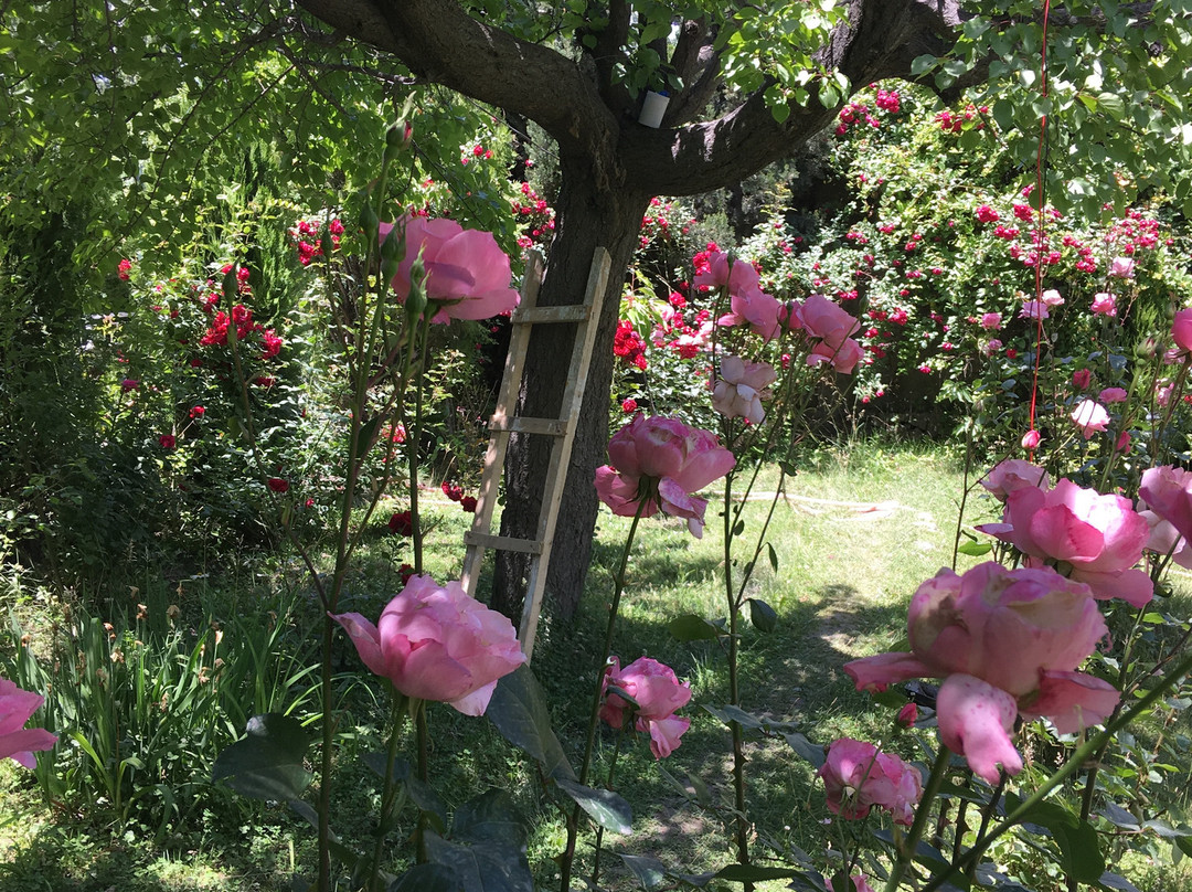 Baltistan Village Guest House主图