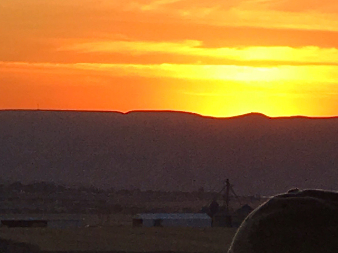 Lindsay Creek Vineyards-刘易斯顿必去景点