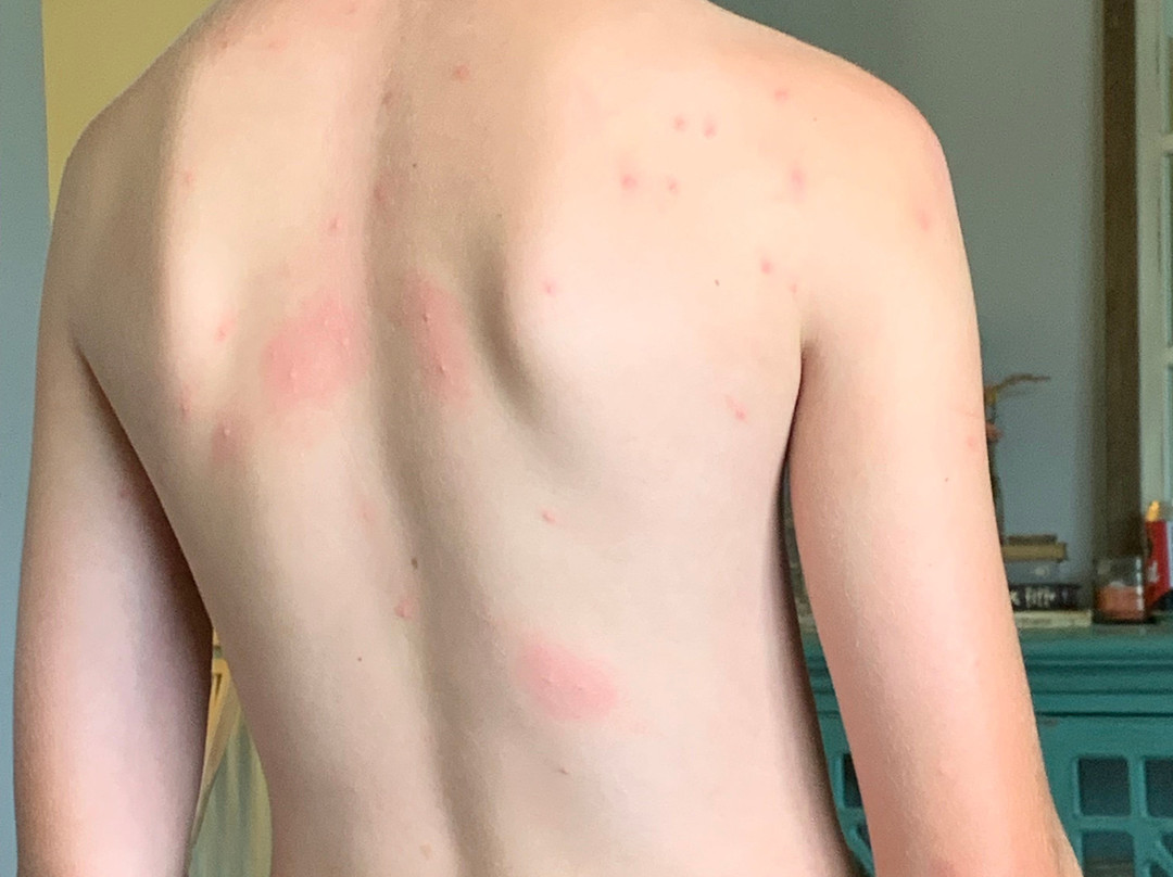 贝斯特韦斯特战场酒店主图