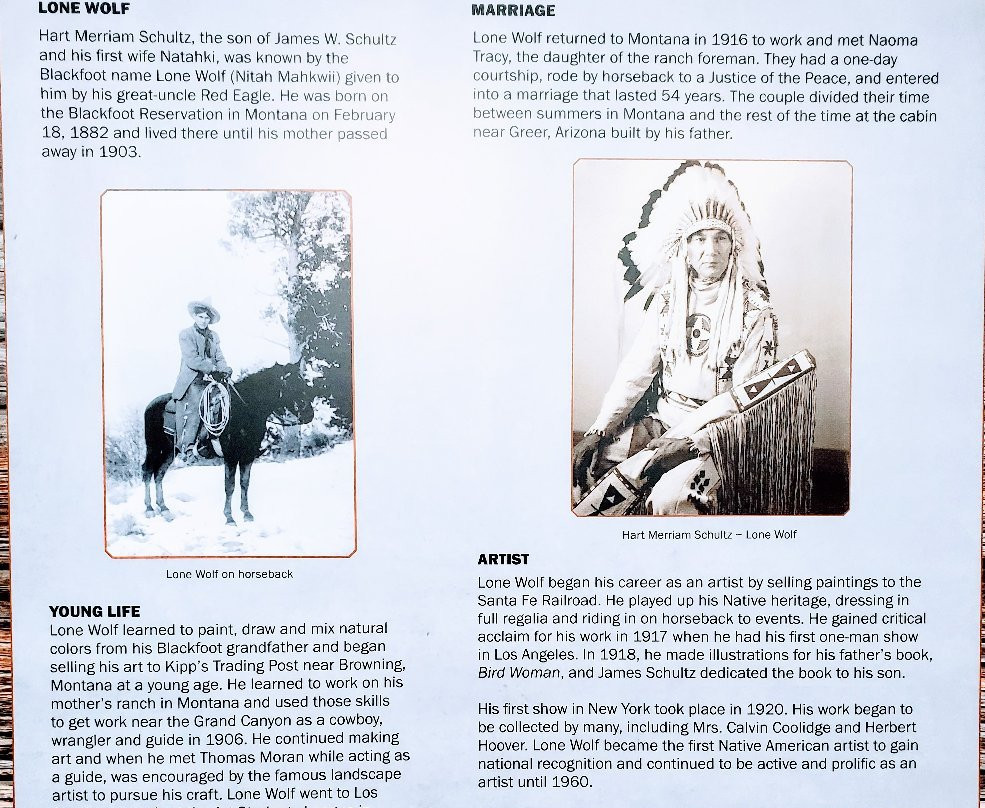 Butterfly Lodge Museum-Greer必去景点