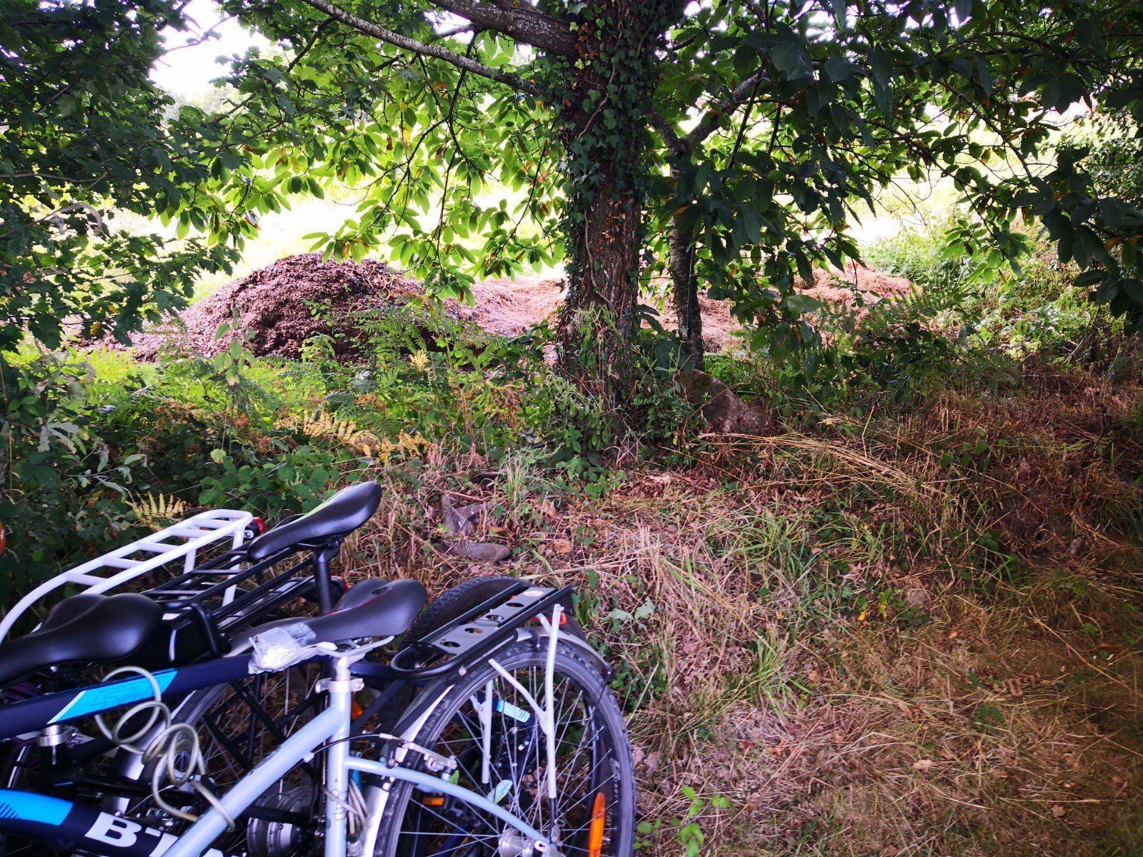 Le Domaine de Kervallon-酒店景观