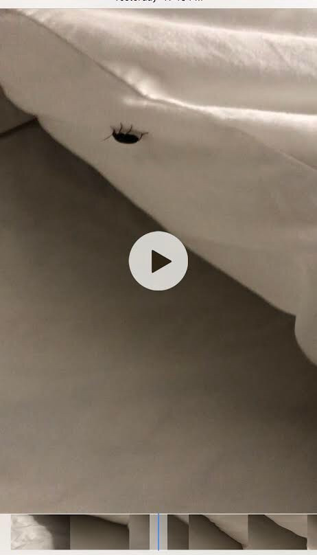 AmericInn by Wyndham Douglas / Saugatuck主图