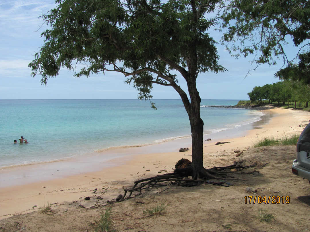 Praia dos Tamarindos景点图片
