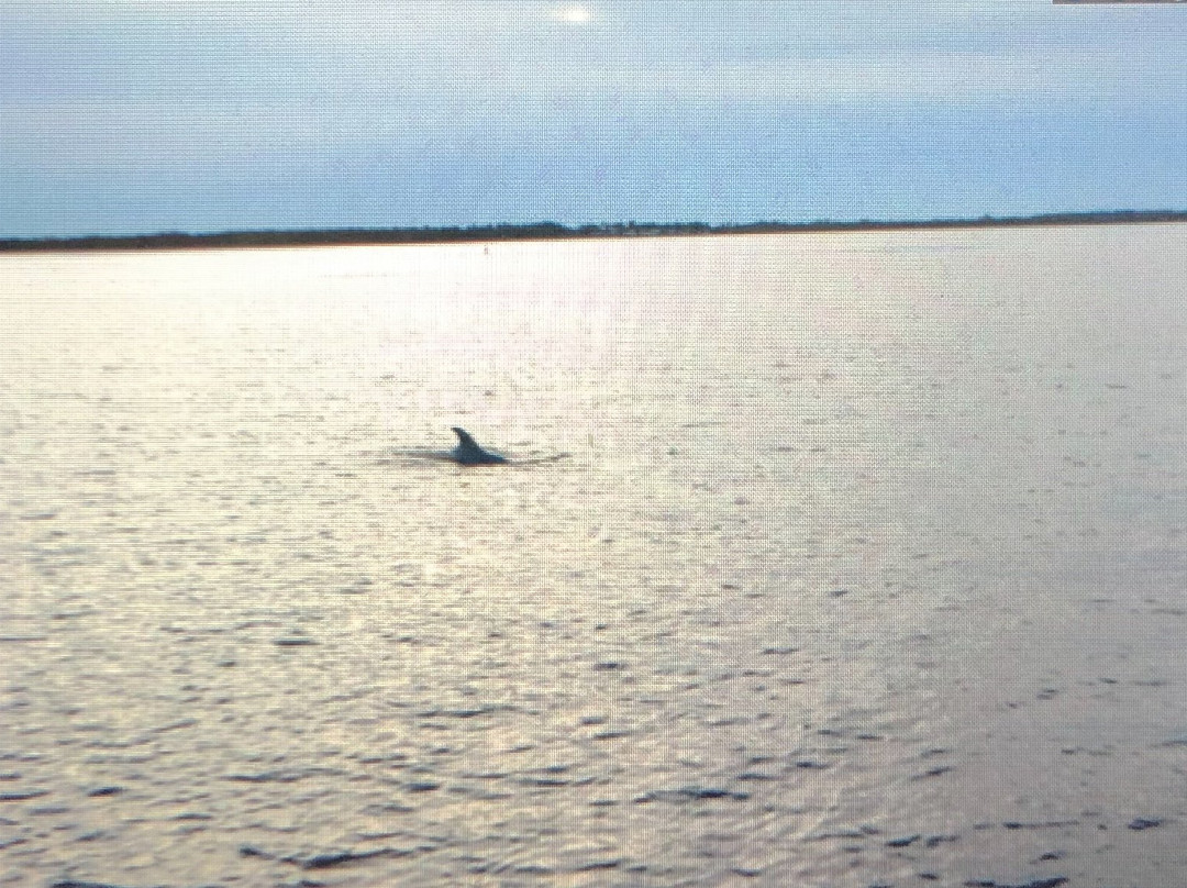 Port Sanibel Marina-迈尔斯堡必去景点