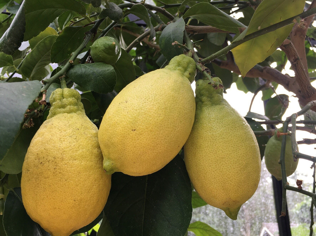 Tambours Have-瓦德必去景点