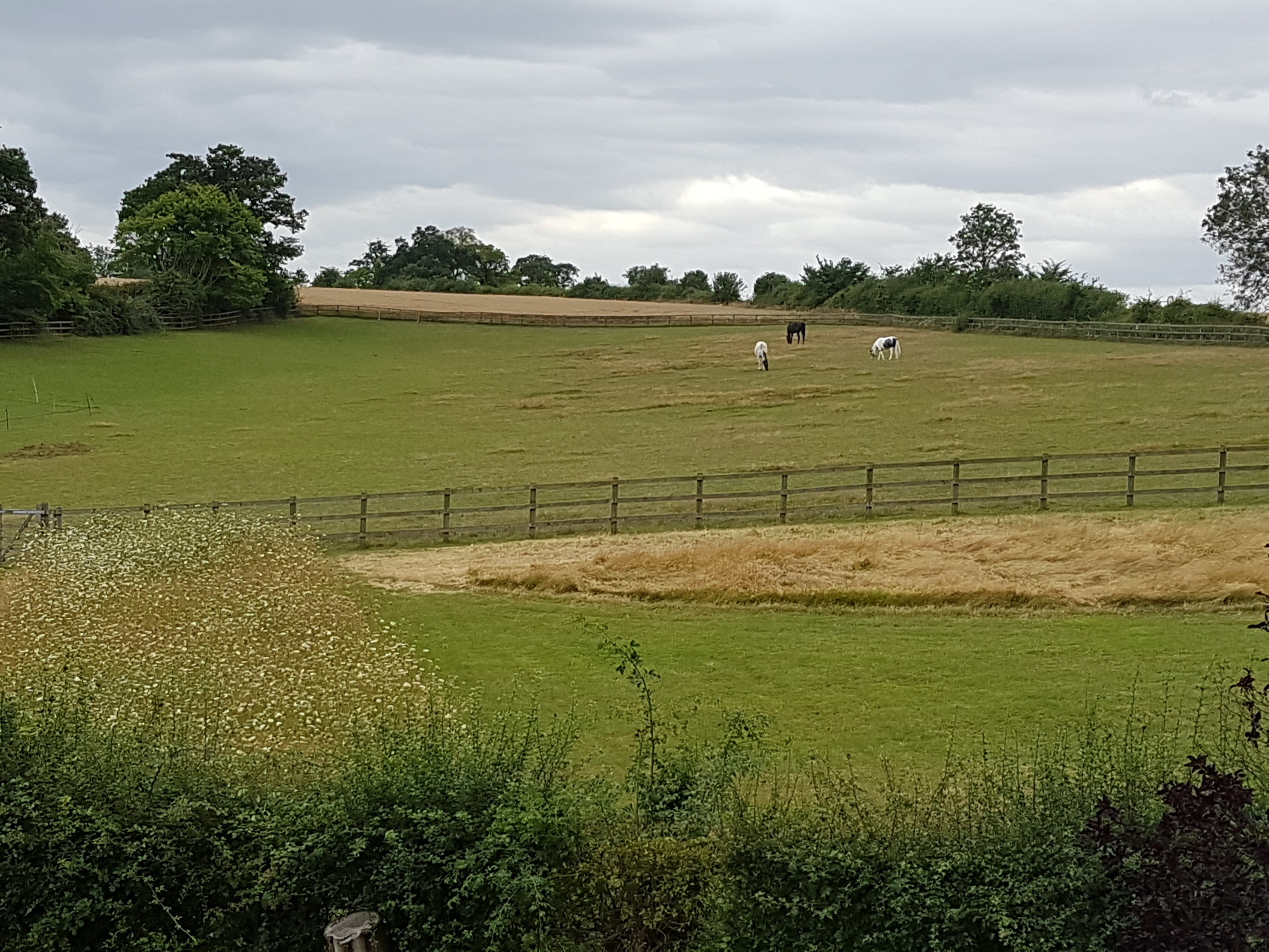 Oak Tree Farm Bed & Breakfast-酒店景观