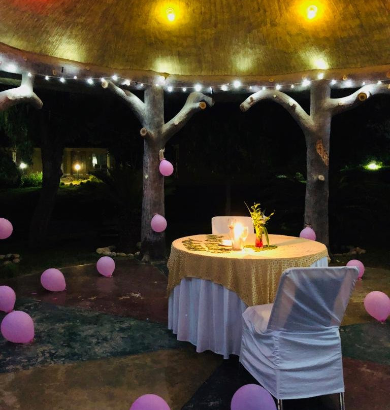 Treehouse Raj Mahal主图