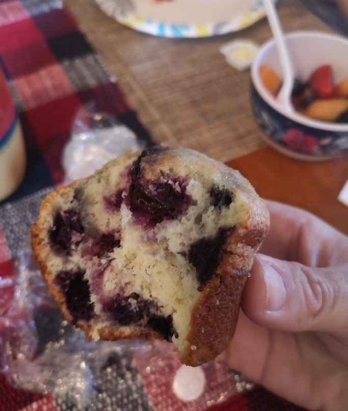 Northern Family Motel主图