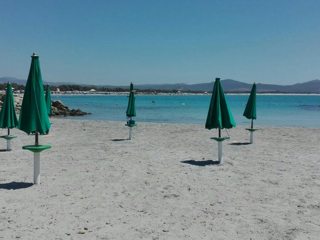 Spiaggia Animal Frendly Porto Pino-Carbonia必去景点