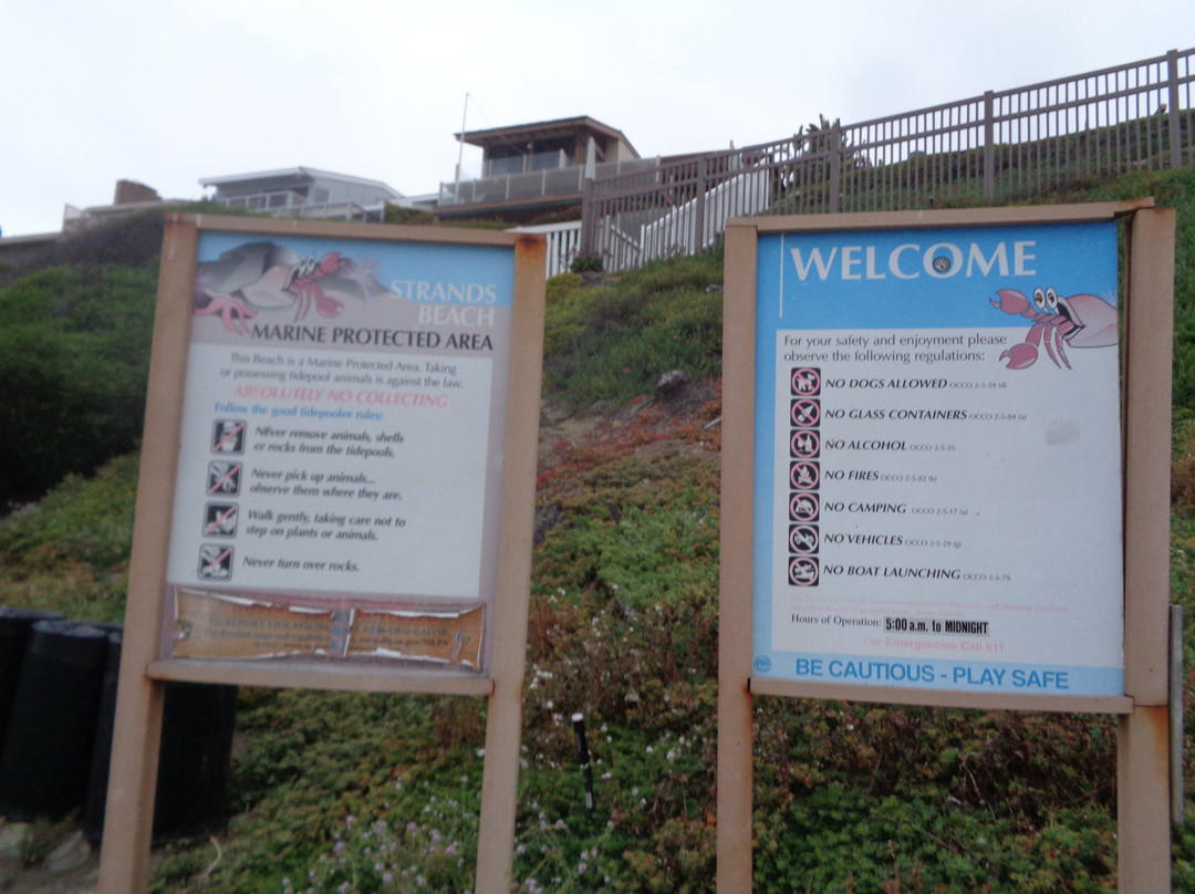 Dana Strands Beach-德纳角必去景点