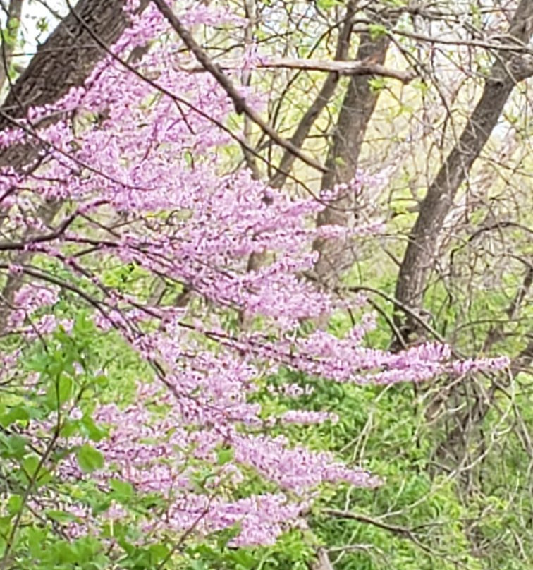 Heron Haven-奥马哈必去景点