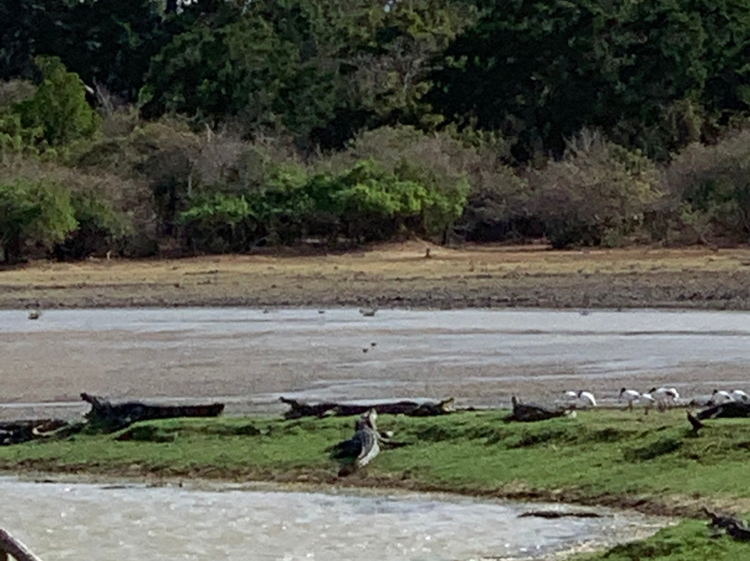 Kumana National Park-Ampara必去景点