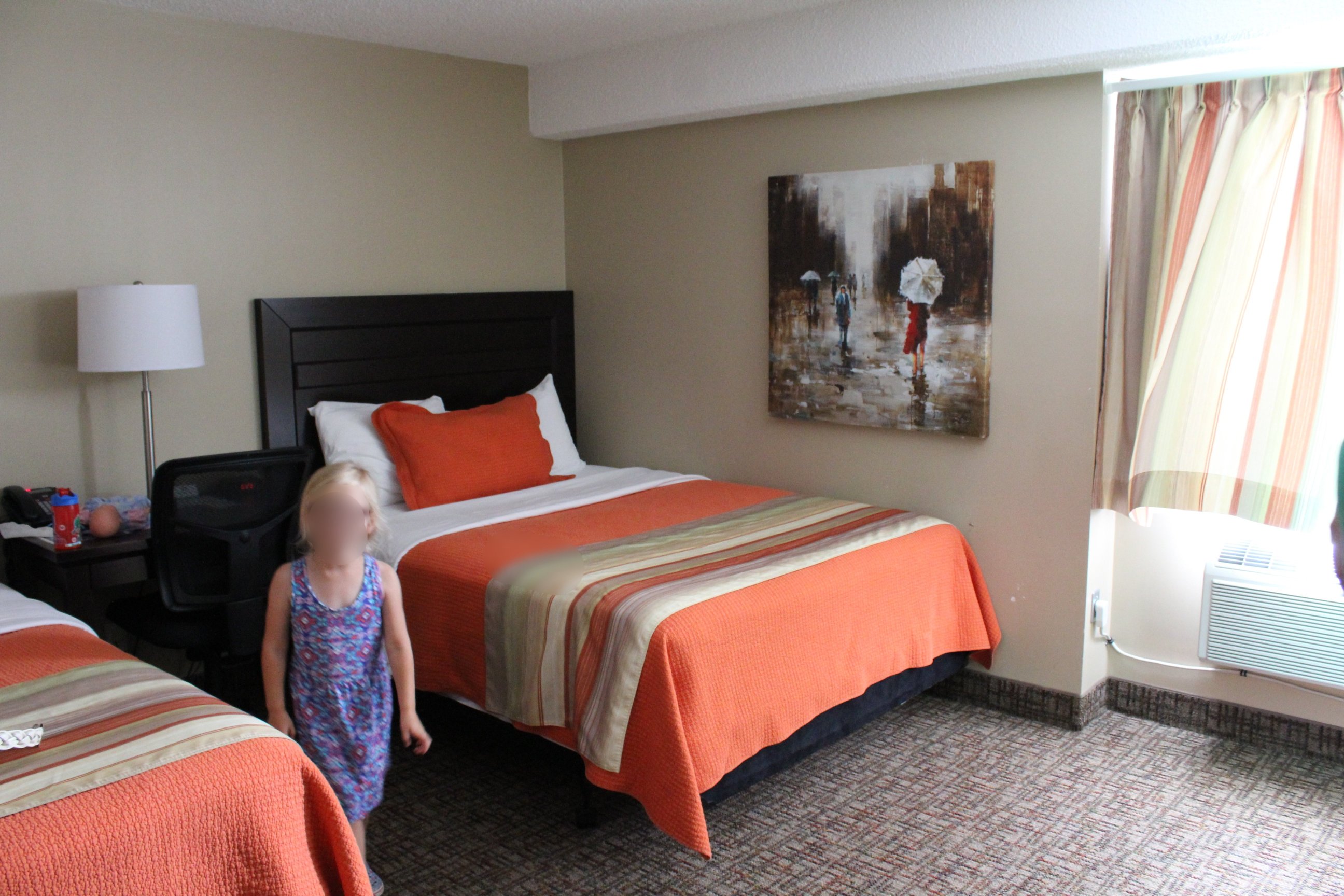 The Sleepy Owl-官方