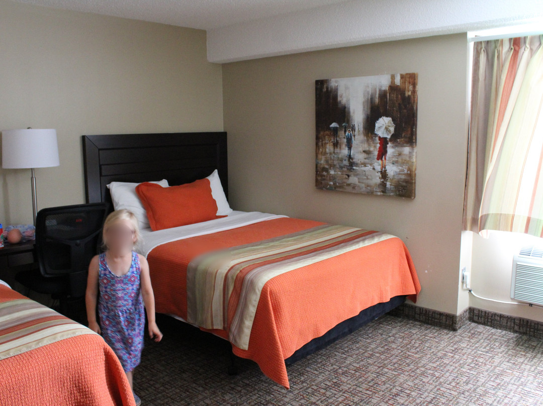 The Sleepy Owl主图